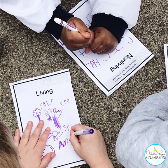 Living and Nonliving Things Activity