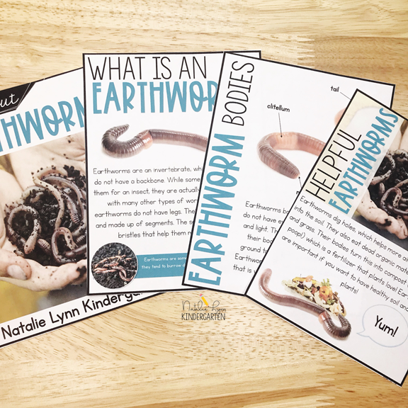 Earthworm nonfiction activities for k-1
