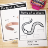 Try These Free Earthworm Activities With Your Class Today! - Natalie ...