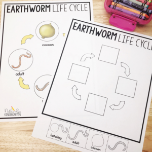 Try These Free Earthworm Activities With Your Class Today! - Natalie ...