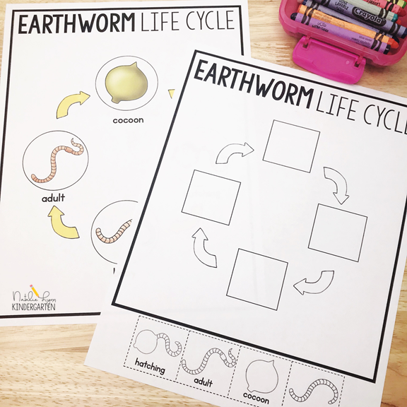 Earthworm activities for kindergarten
