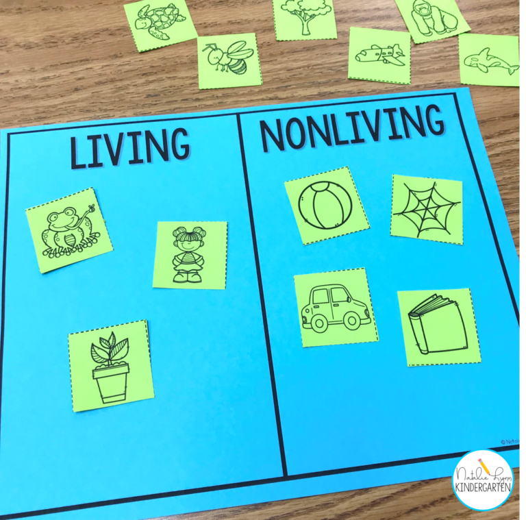 Living and Nonliving Things Activities for Kindergarten or 1st Grade ...