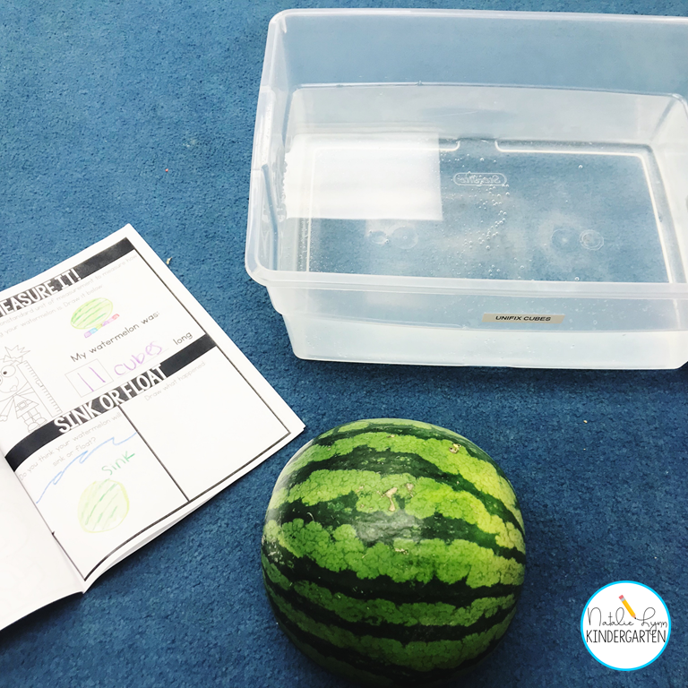 Watermelon Day - We did our investigation together at the carpet.