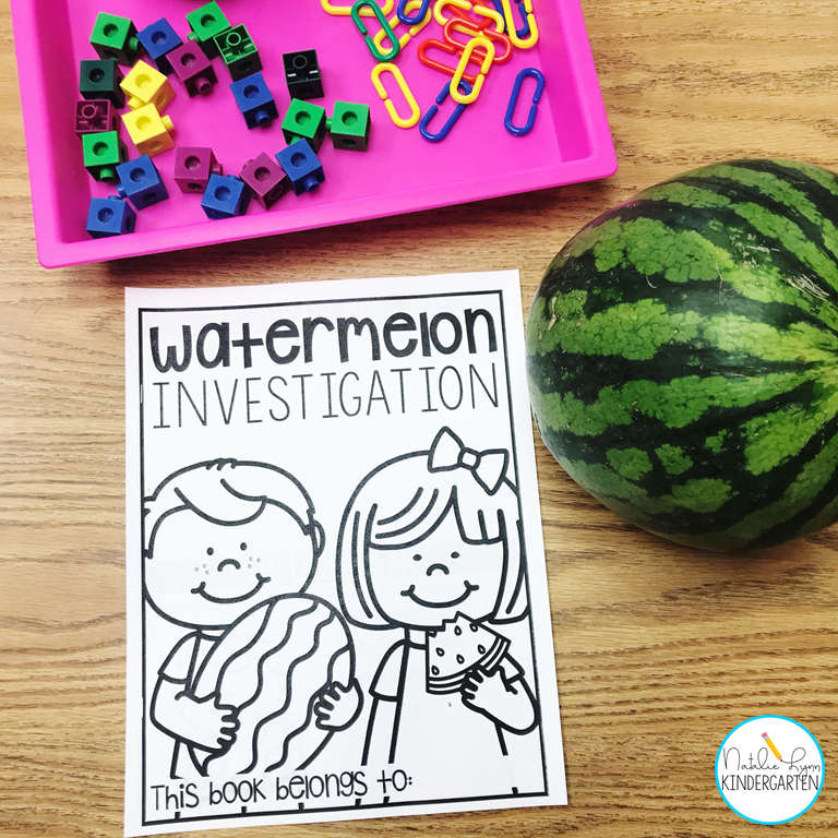 Watermelon Day - watermelon investigation