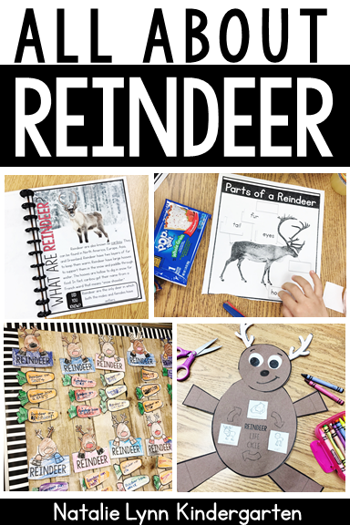 Reindeer activities for kindergarten - reindeer informational unit pin
