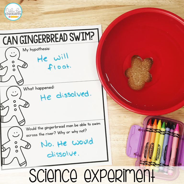 Can gingerbread swim exeriment