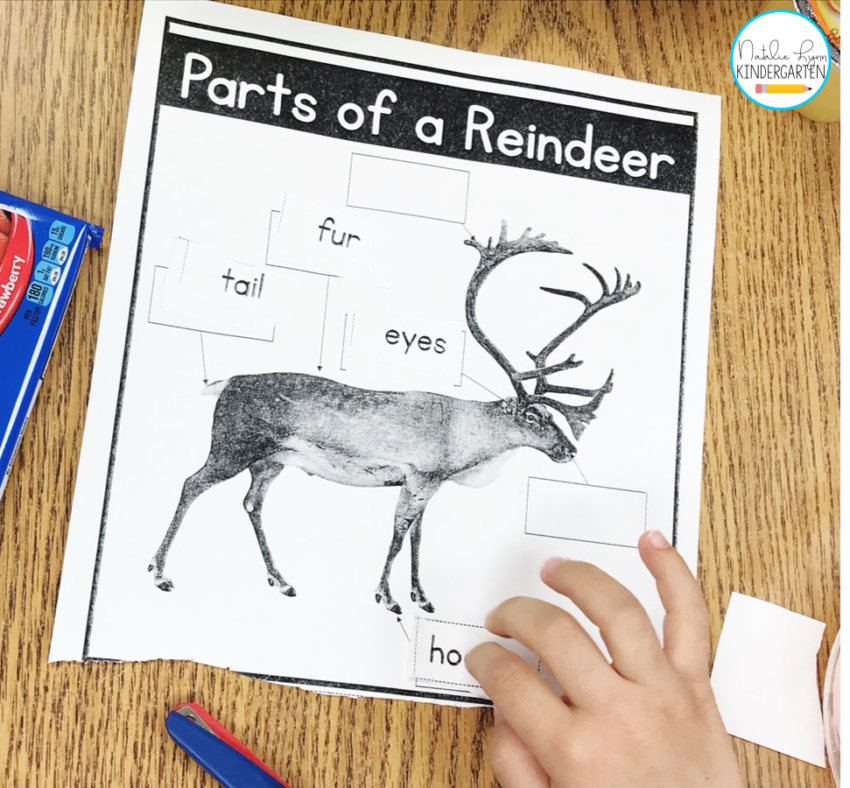 Reindeer Activities - Natalie Lynn Kindergarten