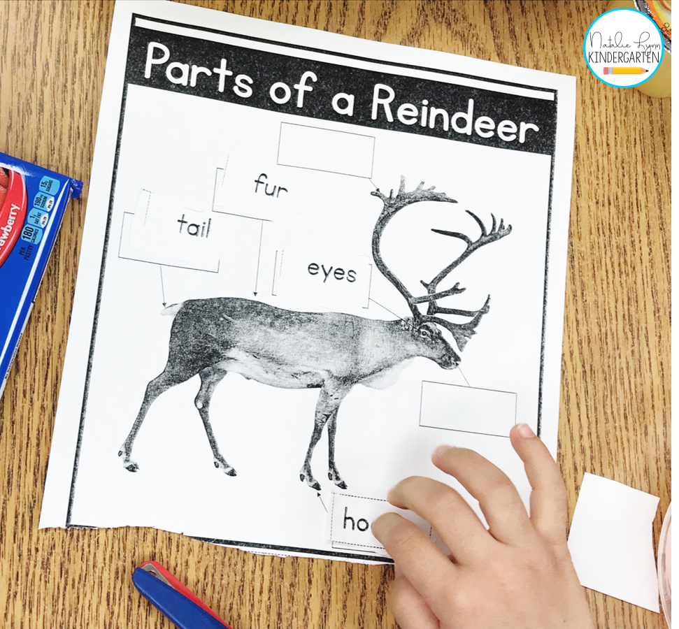 Reindeer activities for kindergarten - reindeer labeling