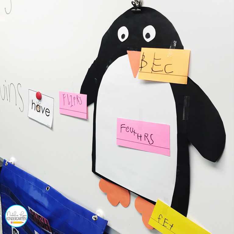 Penguin activities - penguin labeling