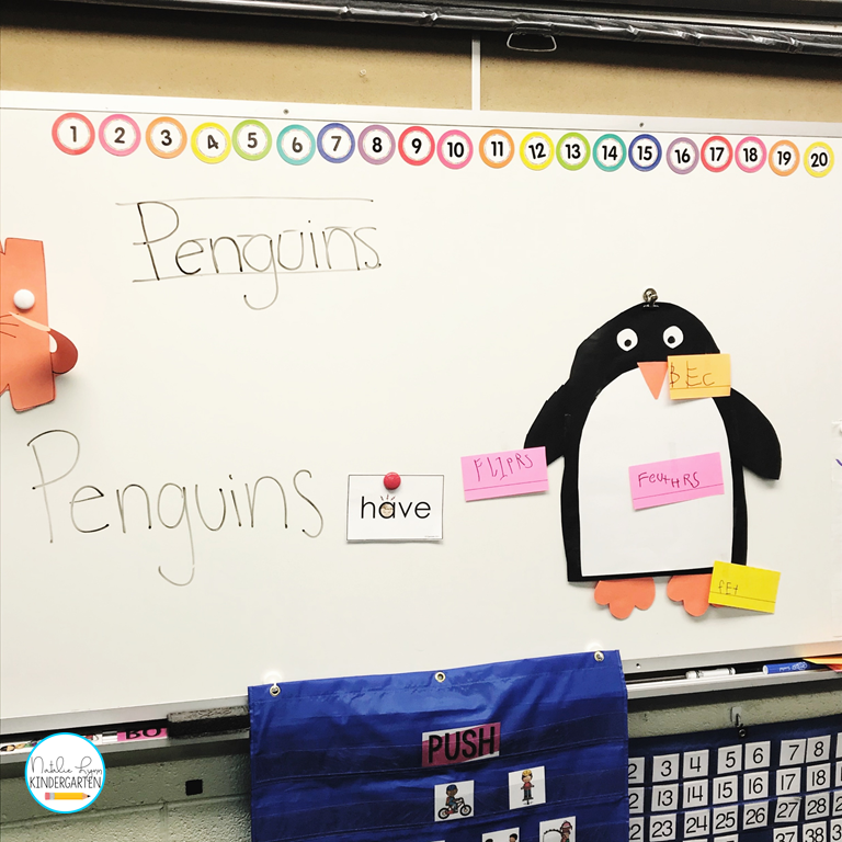 penguin activities - writing about penguins interactive writing