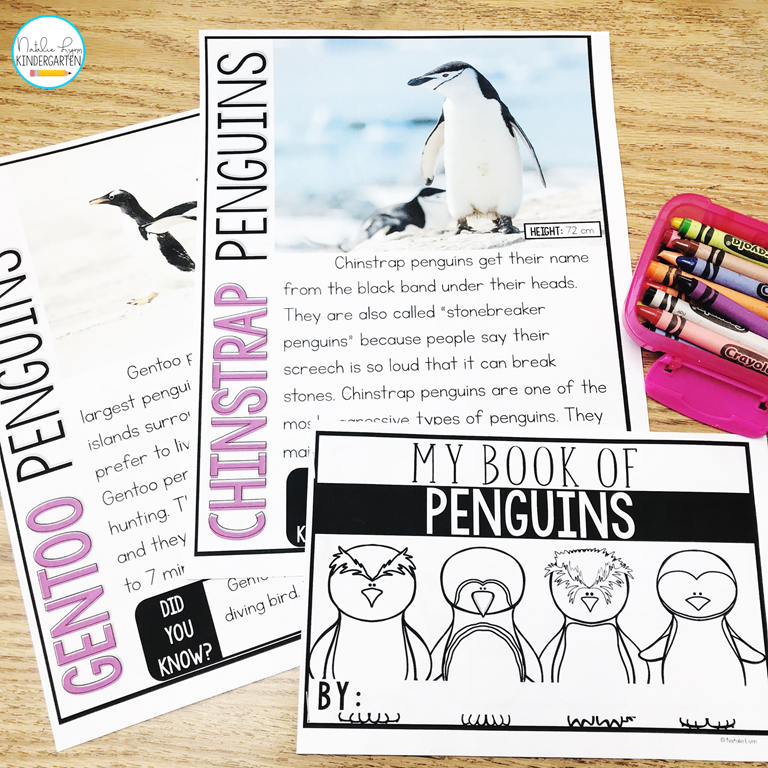 penguin activities - types of penguins research and writing