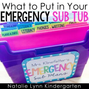 What To Put In Your Emergency Sub Tub - Natalie Lynn Kindergarten