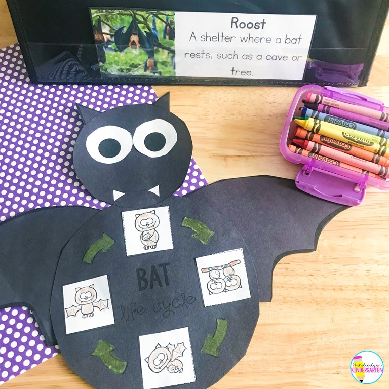 bat life cycle craft for kindergarten and first grade