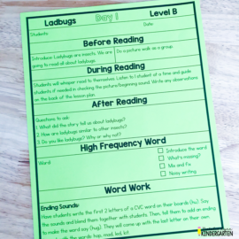 What Does a Level B Guided Reading Lesson Look Like?