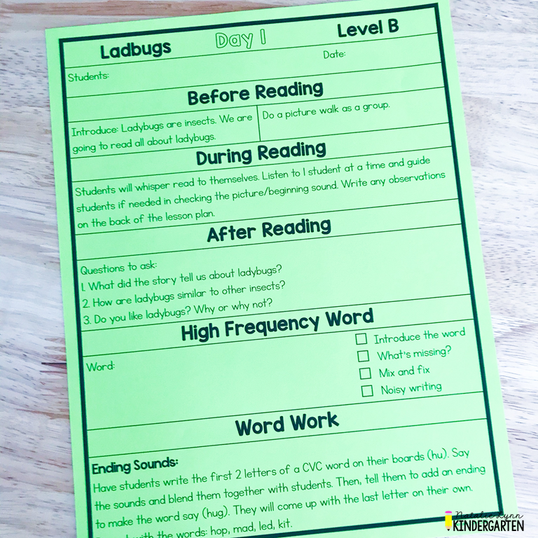 two day guided reading lesson plan for kindergarten leveled readers B