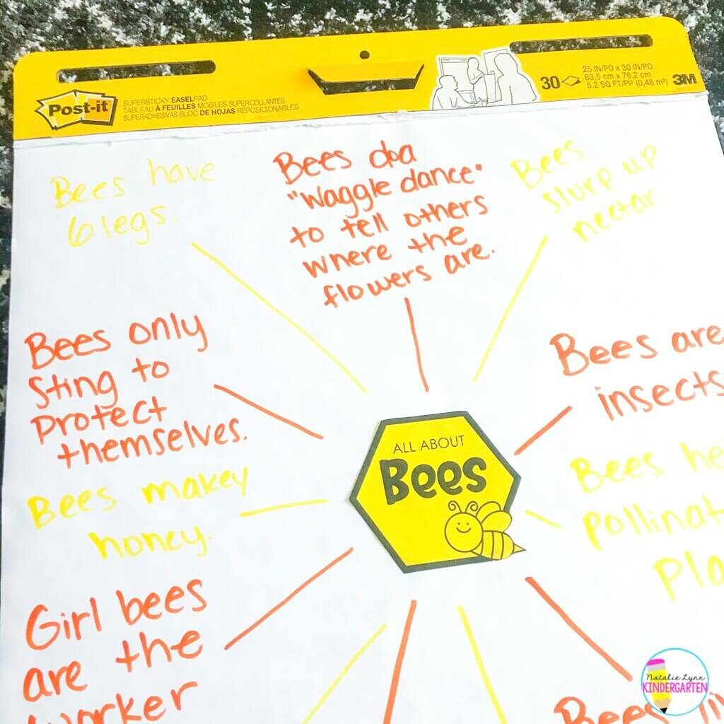All about bees anchor chart for Kindergarten bee activities