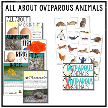 Oviparous Animals Unit - Natalie Lynn Kindergarten