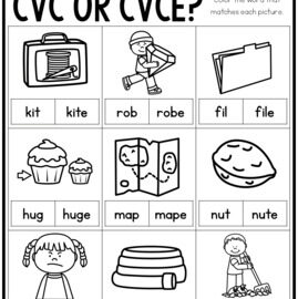 Cvce Worksheets 