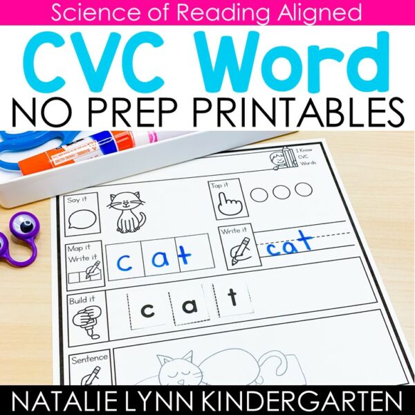 CVC Words Worksheets | Word Mapping Practice