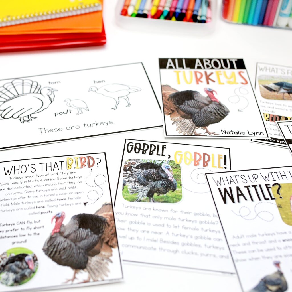 All about turkeys nonfiction book for kids 