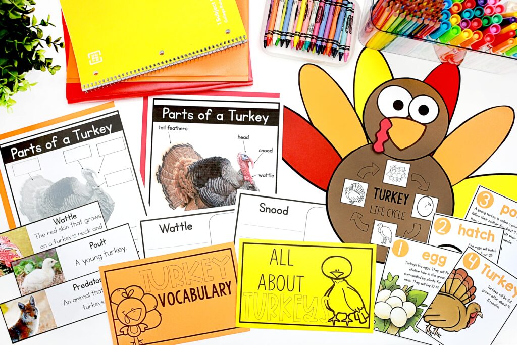 All about turkeys nonfiction research activities for kids