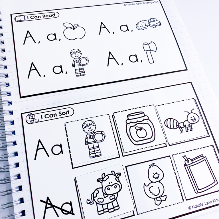 Interactive Alphabet Notebook, Letter Sounds Phonics, Back to School  Crafts