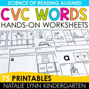 CVC worksheets