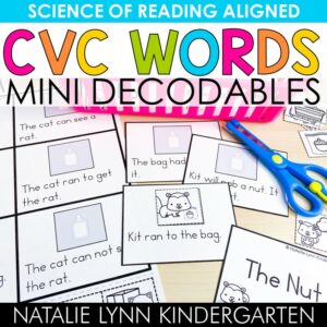 Mini CVC decodable readers
